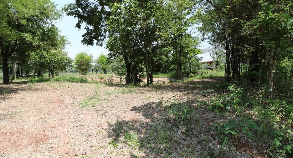 For sale land in Nong Han, Udon Thani