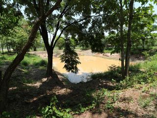 For sale land in Nong Han, Udon Thani
