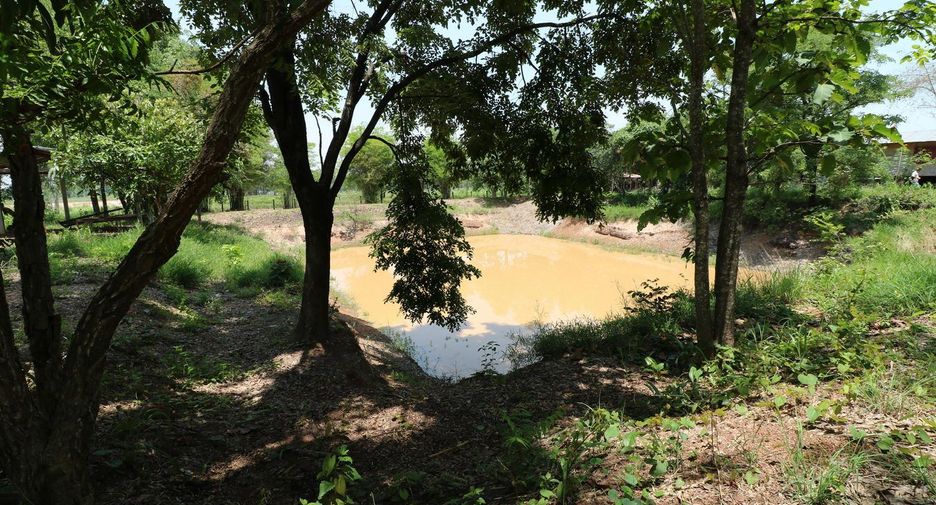 For sale land in Nong Han, Udon Thani