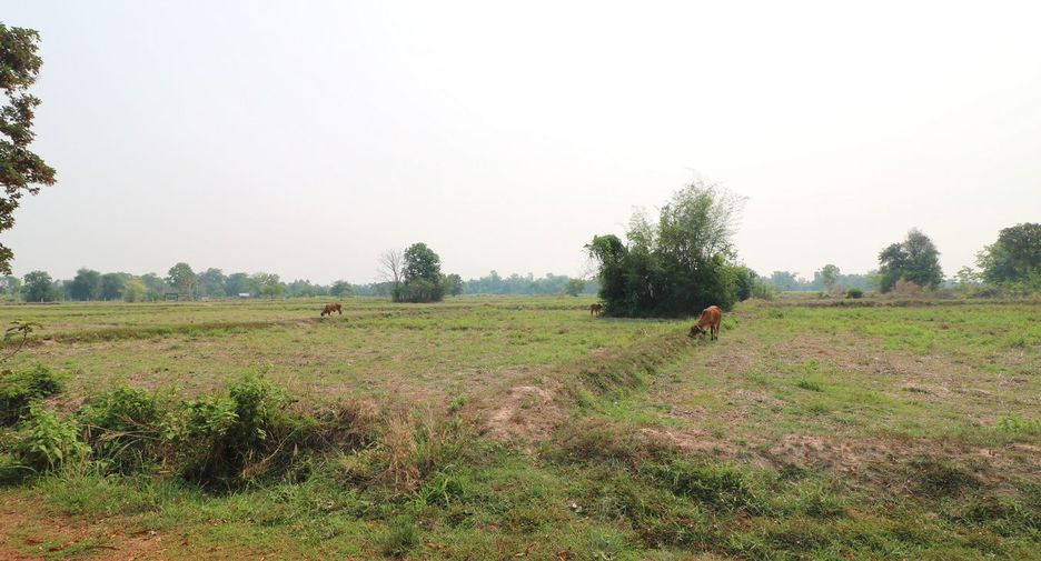 For sale 3 bed house in Nong Han, Udon Thani
