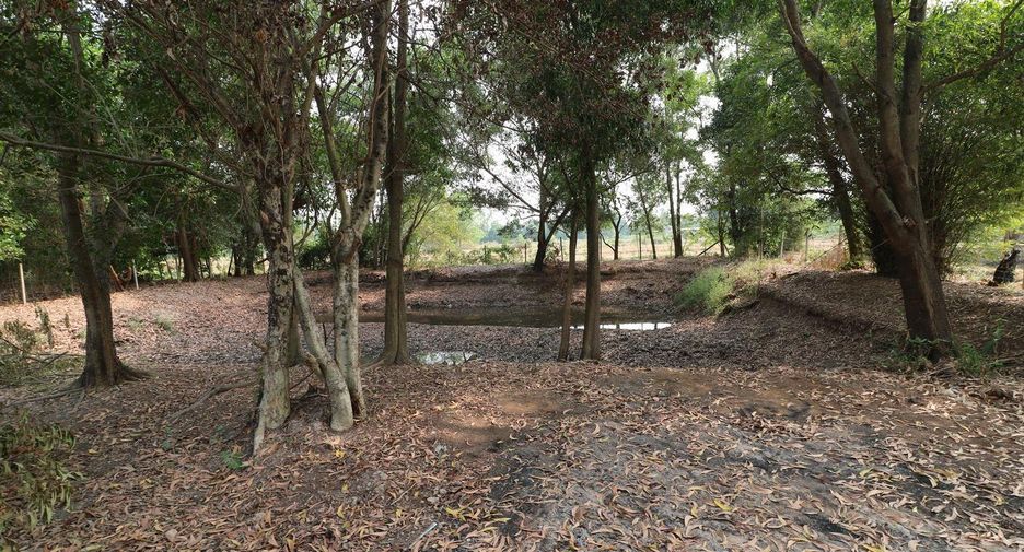For sale land in Mueang Udon Thani, Udon Thani