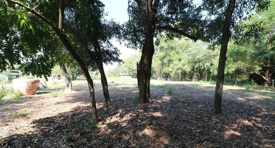 For sale land in Mueang Udon Thani, Udon Thani