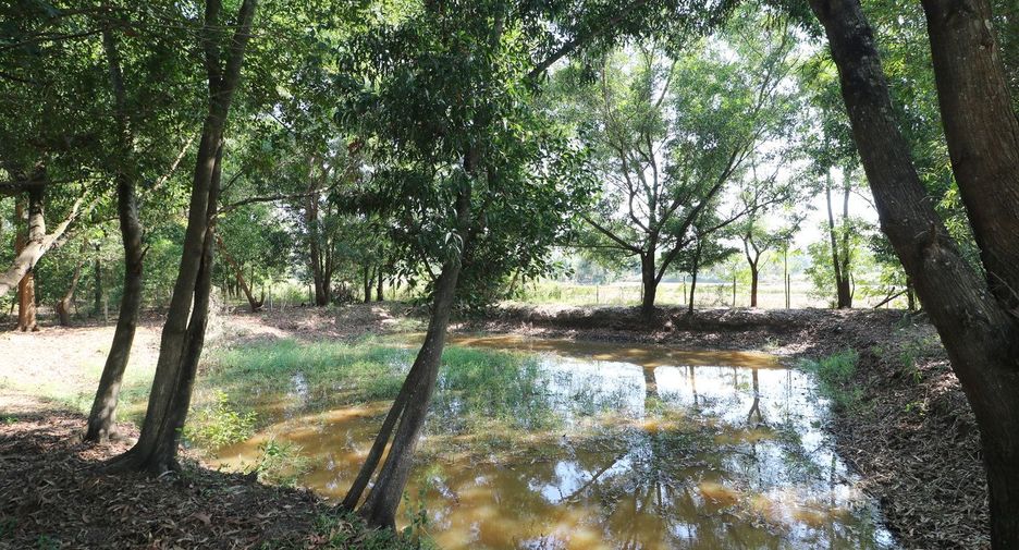 For sale land in Mueang Udon Thani, Udon Thani