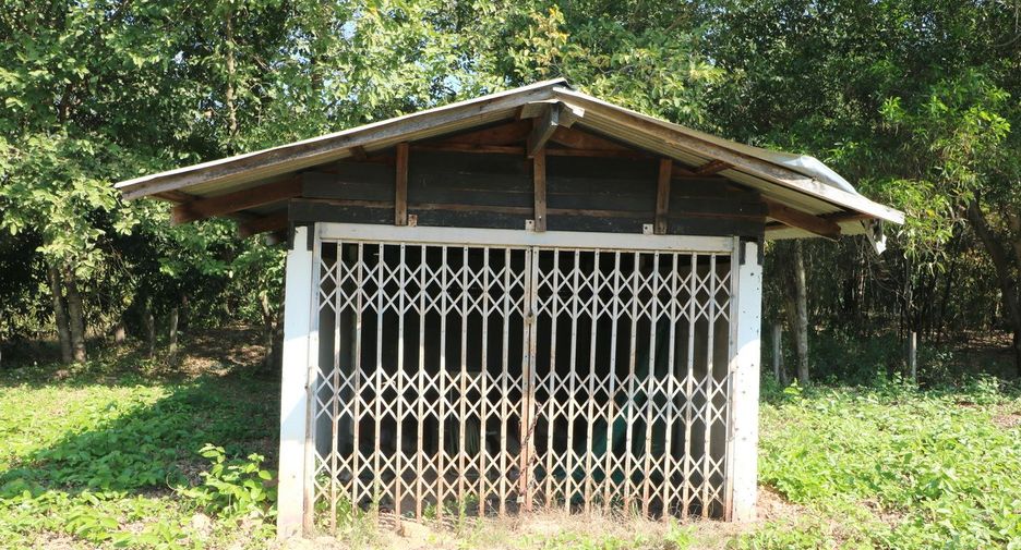 For sale land in Mueang Udon Thani, Udon Thani