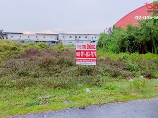 For sale land in Khlong Luang, Pathum Thani