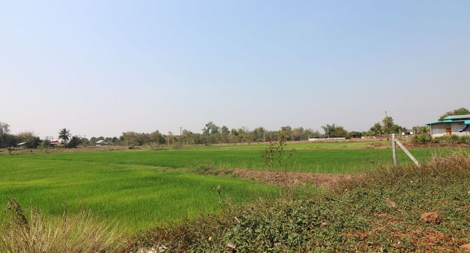 For sale 3 bedrooms house in Tha Bo, Nong Khai