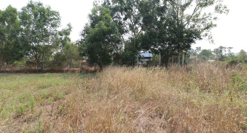 For sale land in Mueang Udon Thani, Udon Thani