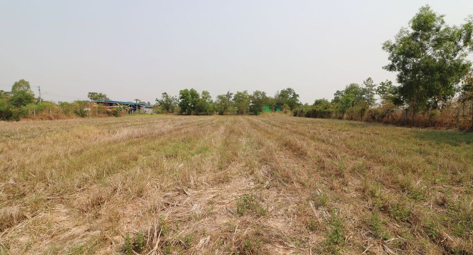 For sale land in Mueang Udon Thani, Udon Thani