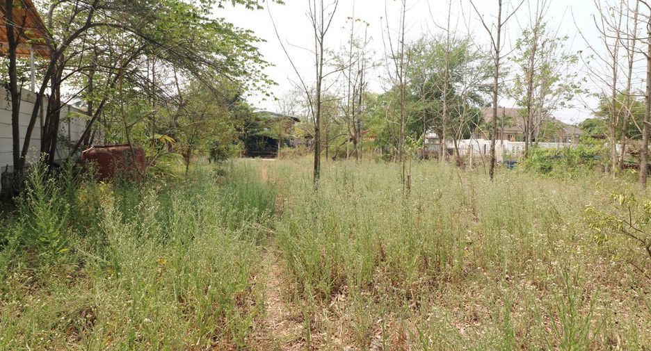 For sale land in Mueang Udon Thani, Udon Thani