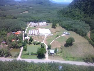 For sale 4 Beds retail Space in Wang Saphung, Loei