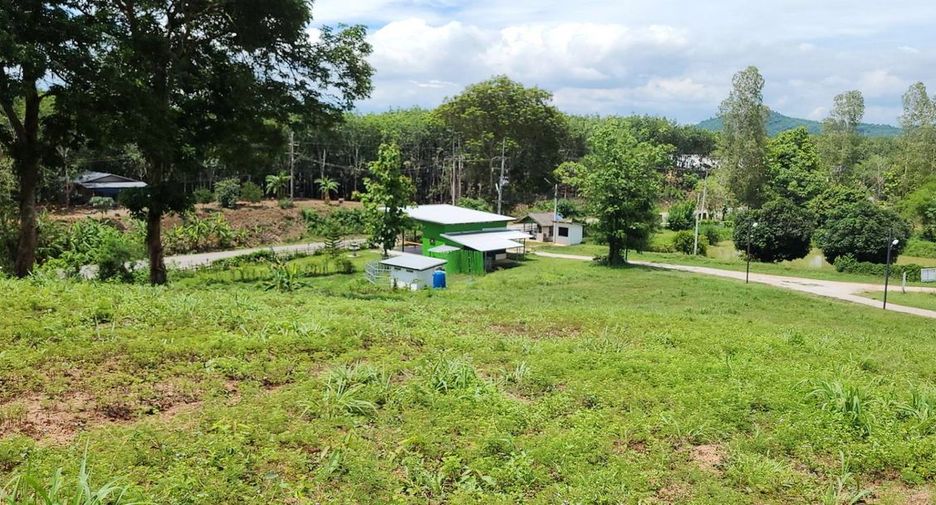 For sale 4 bedrooms retail Space in Wang Saphung, Loei