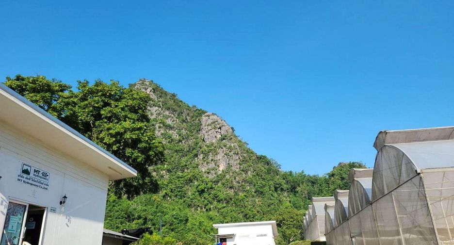 For sale 4 bedrooms retail Space in Wang Saphung, Loei