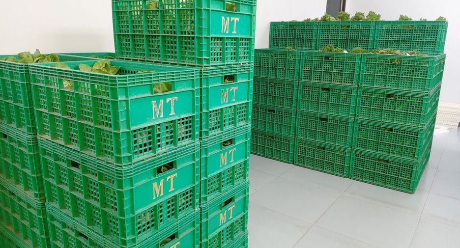 For sale 4 bedrooms retail Space in Wang Saphung, Loei