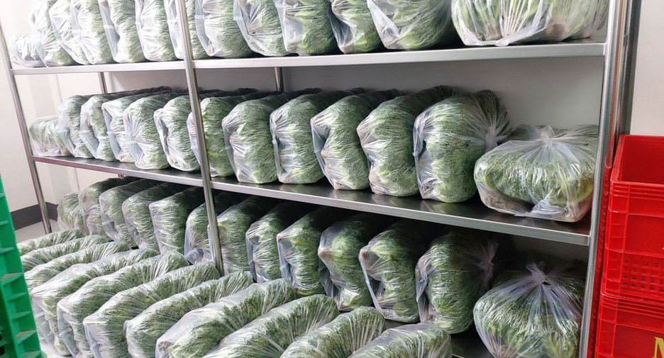 For sale 4 bedrooms retail Space in Wang Saphung, Loei