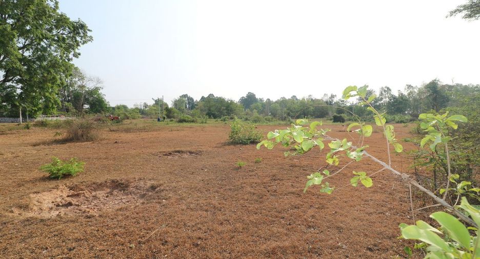 For sale land in Mueang Udon Thani, Udon Thani