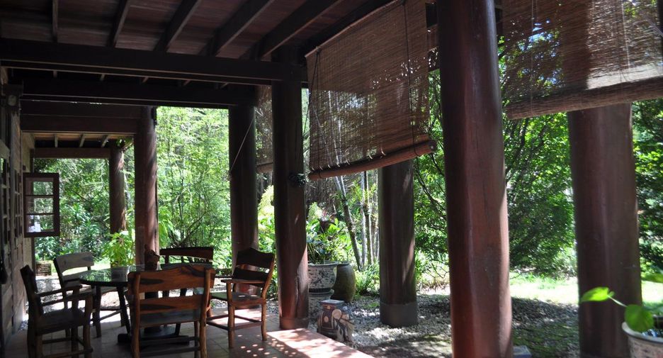 For sale land in Tha Uthen, Nakhon Phanom