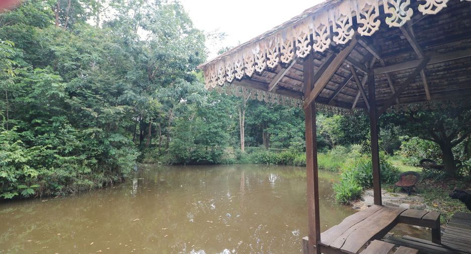 For sale land in Tha Uthen, Nakhon Phanom