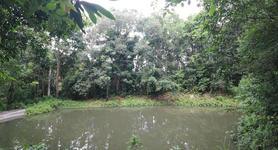 For sale land in Tha Uthen, Nakhon Phanom