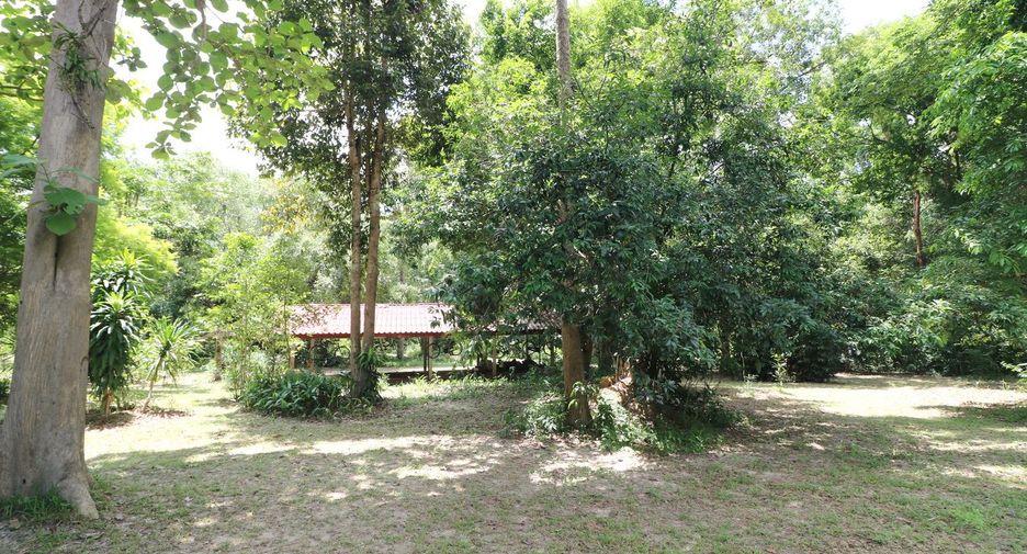For sale land in Tha Uthen, Nakhon Phanom