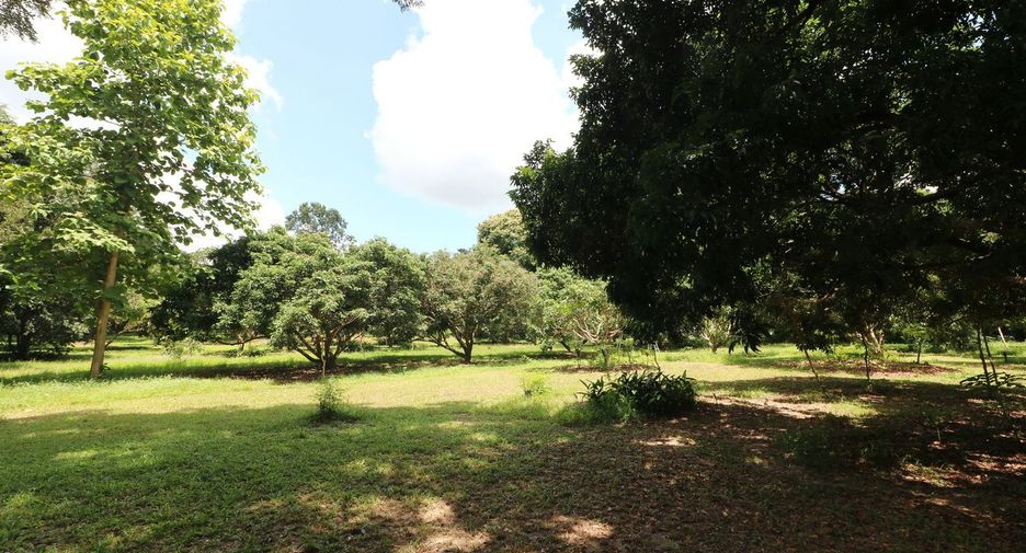 For sale land in Tha Uthen, Nakhon Phanom