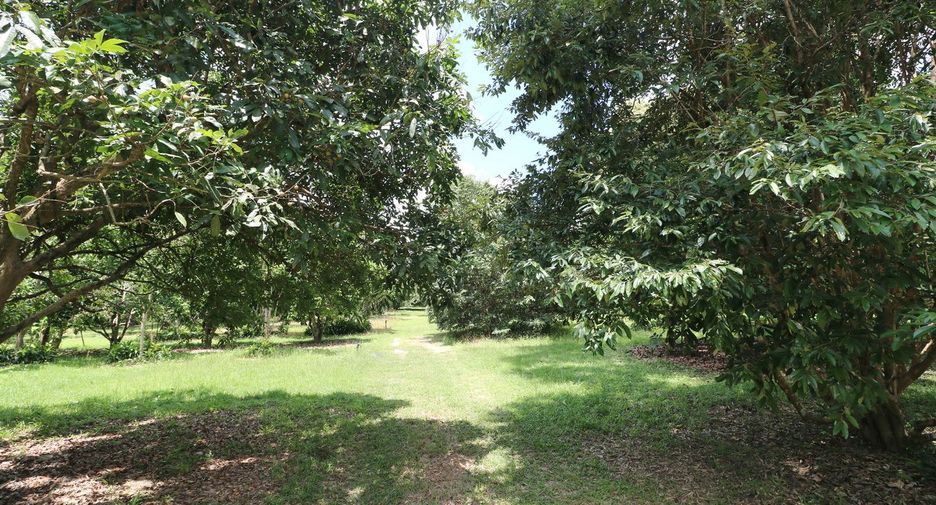 For sale land in Tha Uthen, Nakhon Phanom
