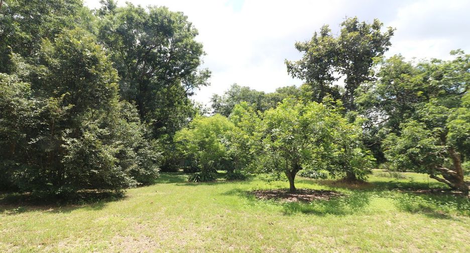 For sale land in Tha Uthen, Nakhon Phanom