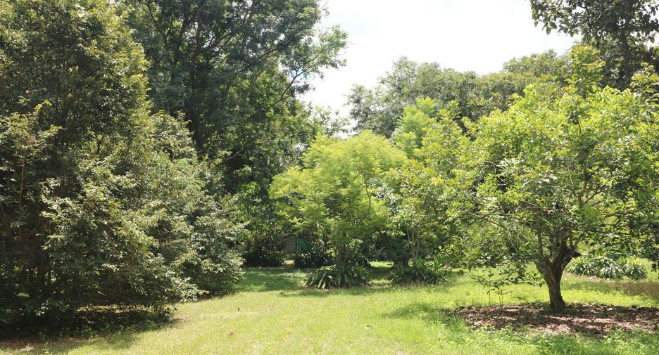For sale land in Tha Uthen, Nakhon Phanom