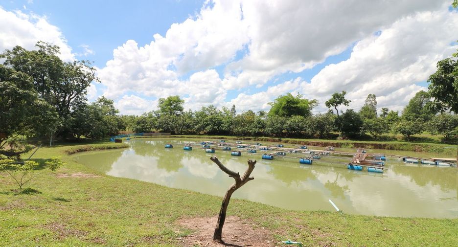 For sale 4 bedrooms house in Wanon Niwat, Sakon Nakhon