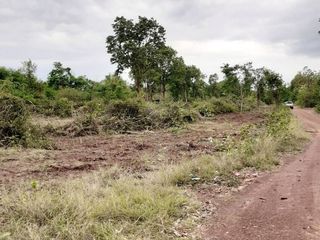 For sale land in Phen, Udon Thani