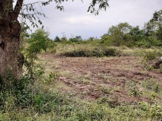 For sale land in Phen, Udon Thani