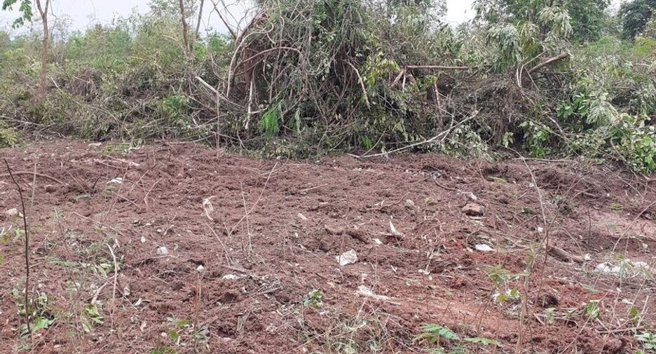 For sale land in Phen, Udon Thani
