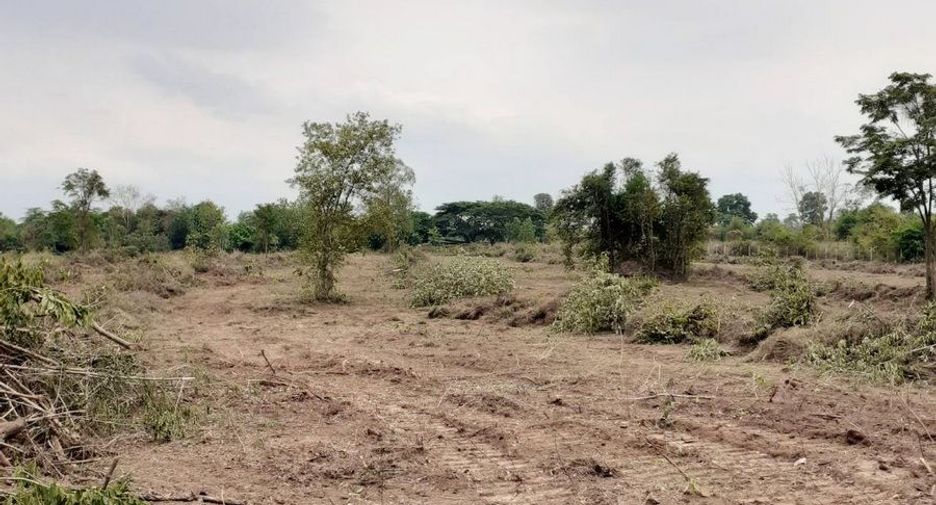 For sale land in Phen, Udon Thani