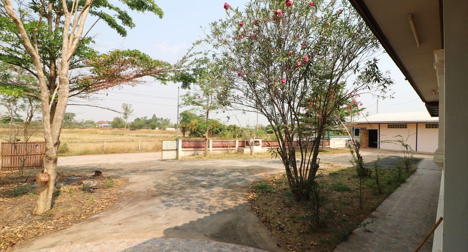ขาย 2 ห้องนอน พื้นที่ค้าปลีก ใน โนนสัง, หนองบัวลำภู