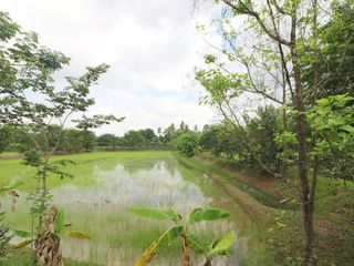For sale land in Sakhrai, Nong Khai