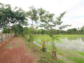 For sale land in Sakhrai, Nong Khai