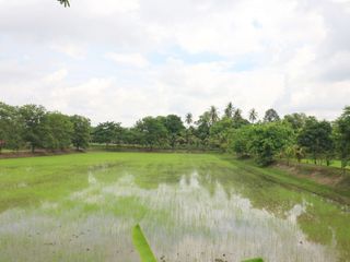 For sale land in Sakhrai, Nong Khai