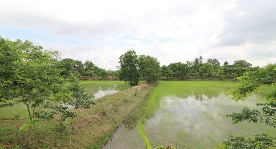 Terreno en venta en Sakhrai, Nong Khai