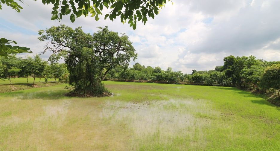 Terreno en venta en Sakhrai, Nong Khai