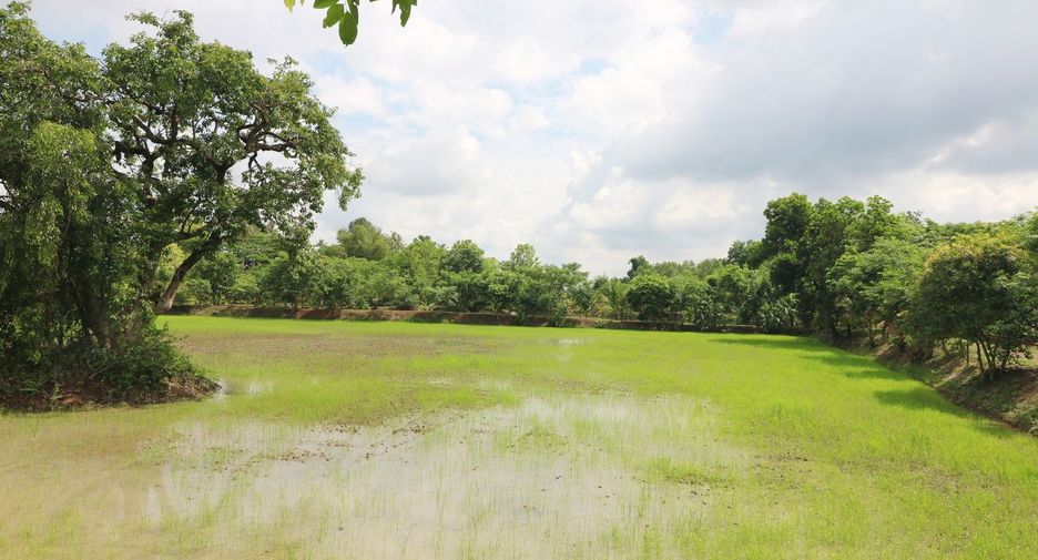 Terreno en venta en Sakhrai, Nong Khai