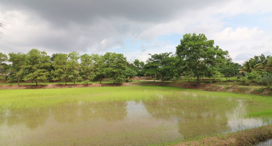 Terreno en venta en Sakhrai, Nong Khai