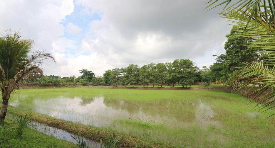 Terreno en venta en Sakhrai, Nong Khai