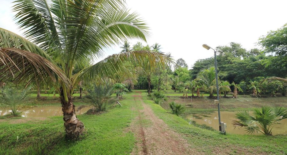 Terreno en venta en Sakhrai, Nong Khai