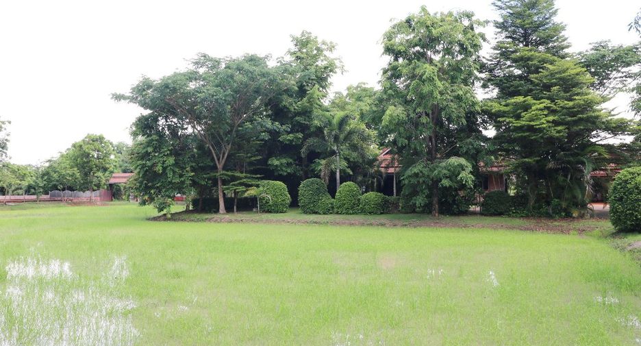 Terreno en venta en Sakhrai, Nong Khai
