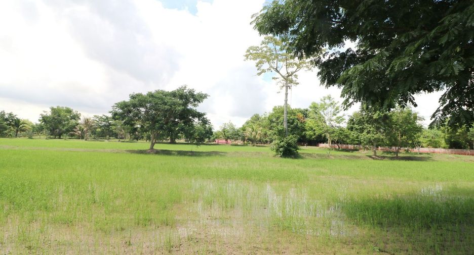 Terreno en venta en Sakhrai, Nong Khai