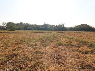 For sale land in Mueang Udon Thani, Udon Thani