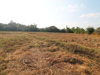 For sale land in Mueang Udon Thani, Udon Thani