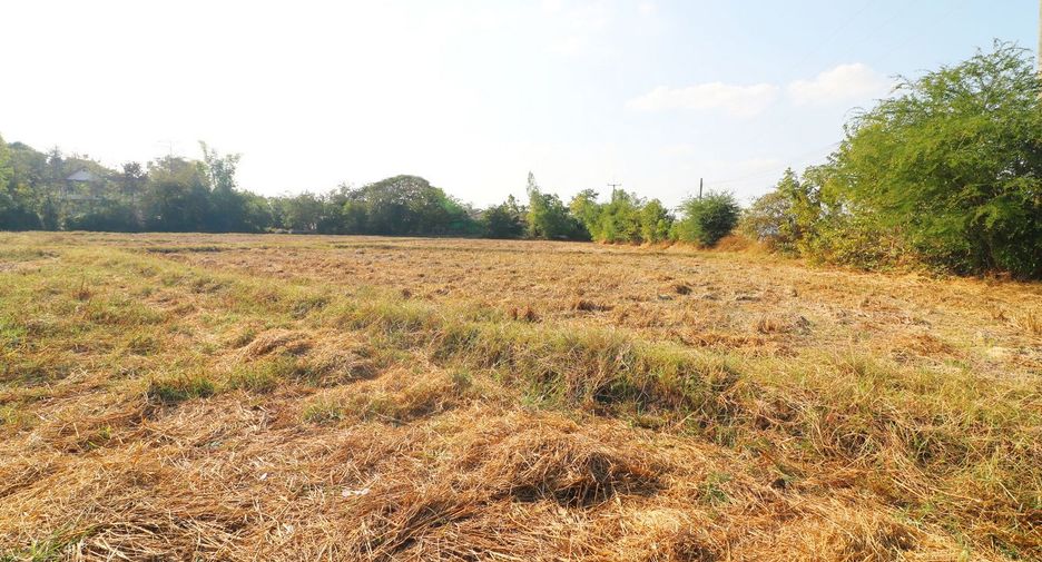 Grundstück zum Kauf in Mueang Udon Thani, Udon Thani