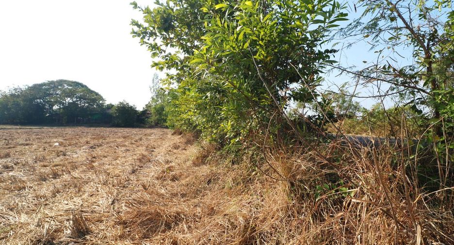 Grundstück zum Kauf in Mueang Udon Thani, Udon Thani
