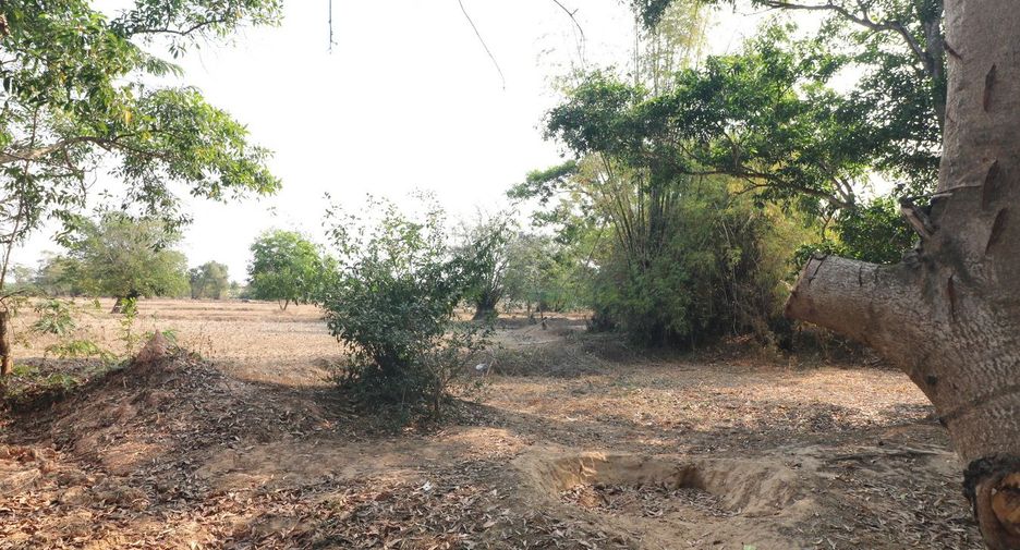 ขาย ที่ดิน ใน เพ็ญ, อุดรธานี