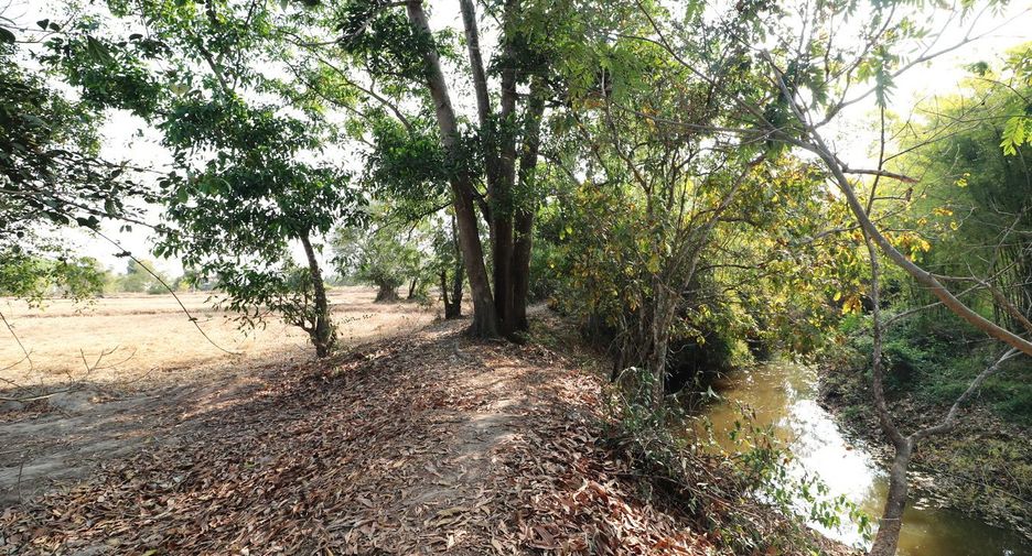 ขาย ที่ดิน ใน เพ็ญ, อุดรธานี